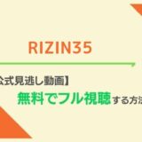 RIZIN35視聴方法